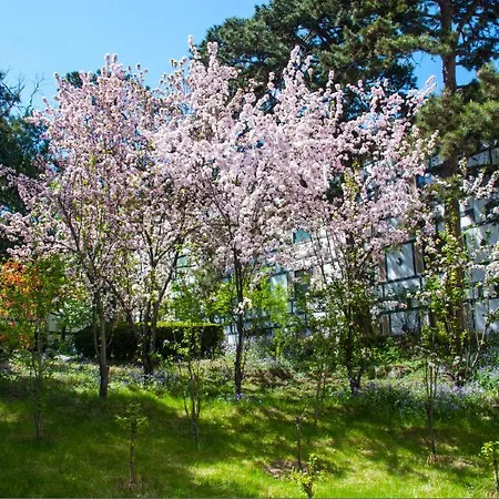Fragrant Hill Hotel-3
